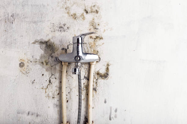 Best Mold Remediation for Schools in Twin Lake, MI