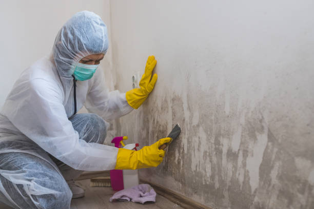 Best Industrial Mold Remediation in Twin Lake, MI