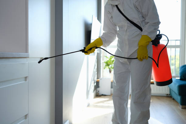 Best Mold Remediation for Specific Building Types in Twin Lake, MI
