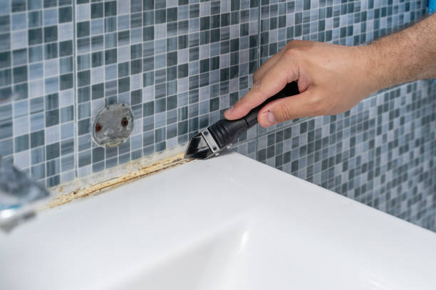 Best Residential Mold Remediation in Twin Lake, MI
