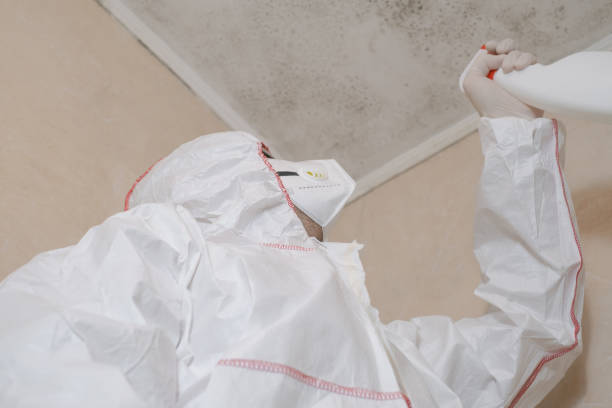 Best Mold Remediation for Schools in Twin Lake, MI